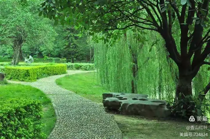 手机摄影‖s型构图